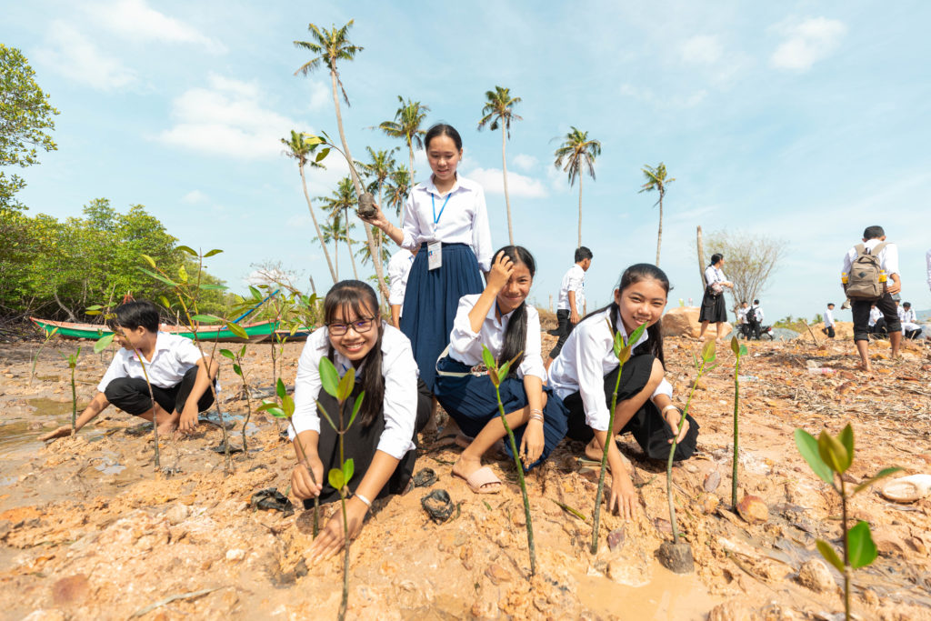 Community mangrove planting