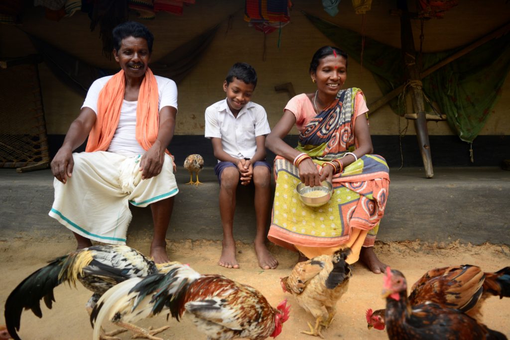 Family whose flock has increased due to regular vaccinations, and increased income from poultry sale