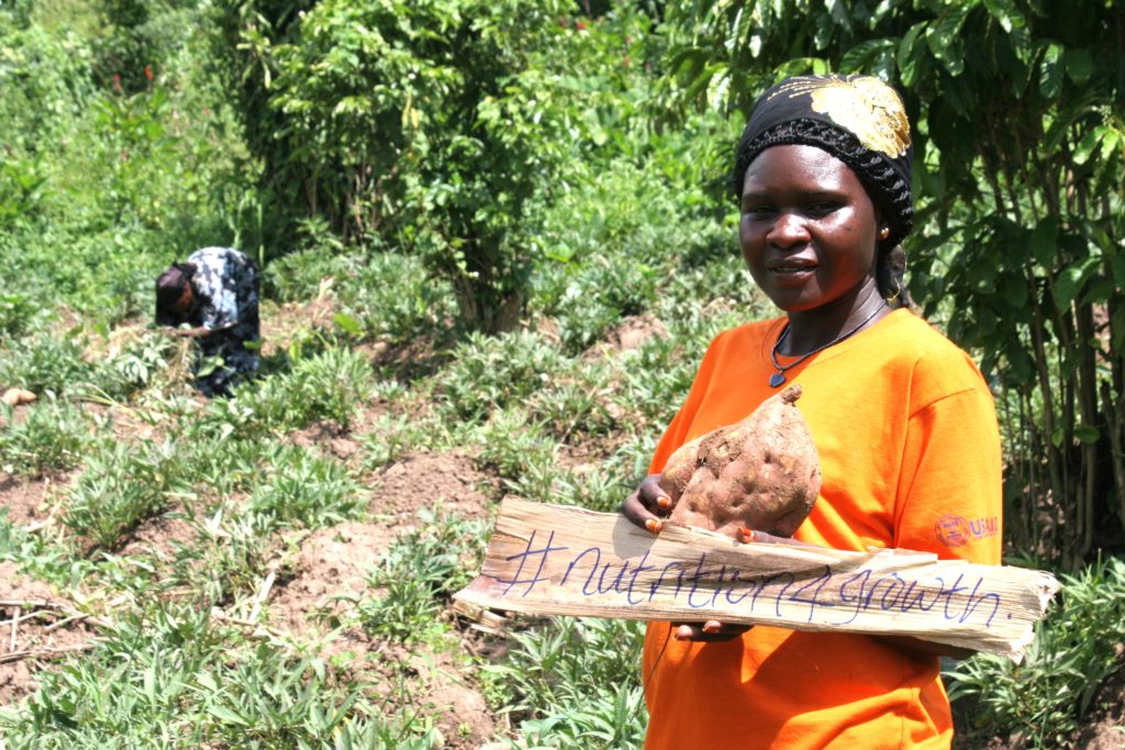 Nutrition for Growth - sweet potatoes fortified with vitamin A in Uganda