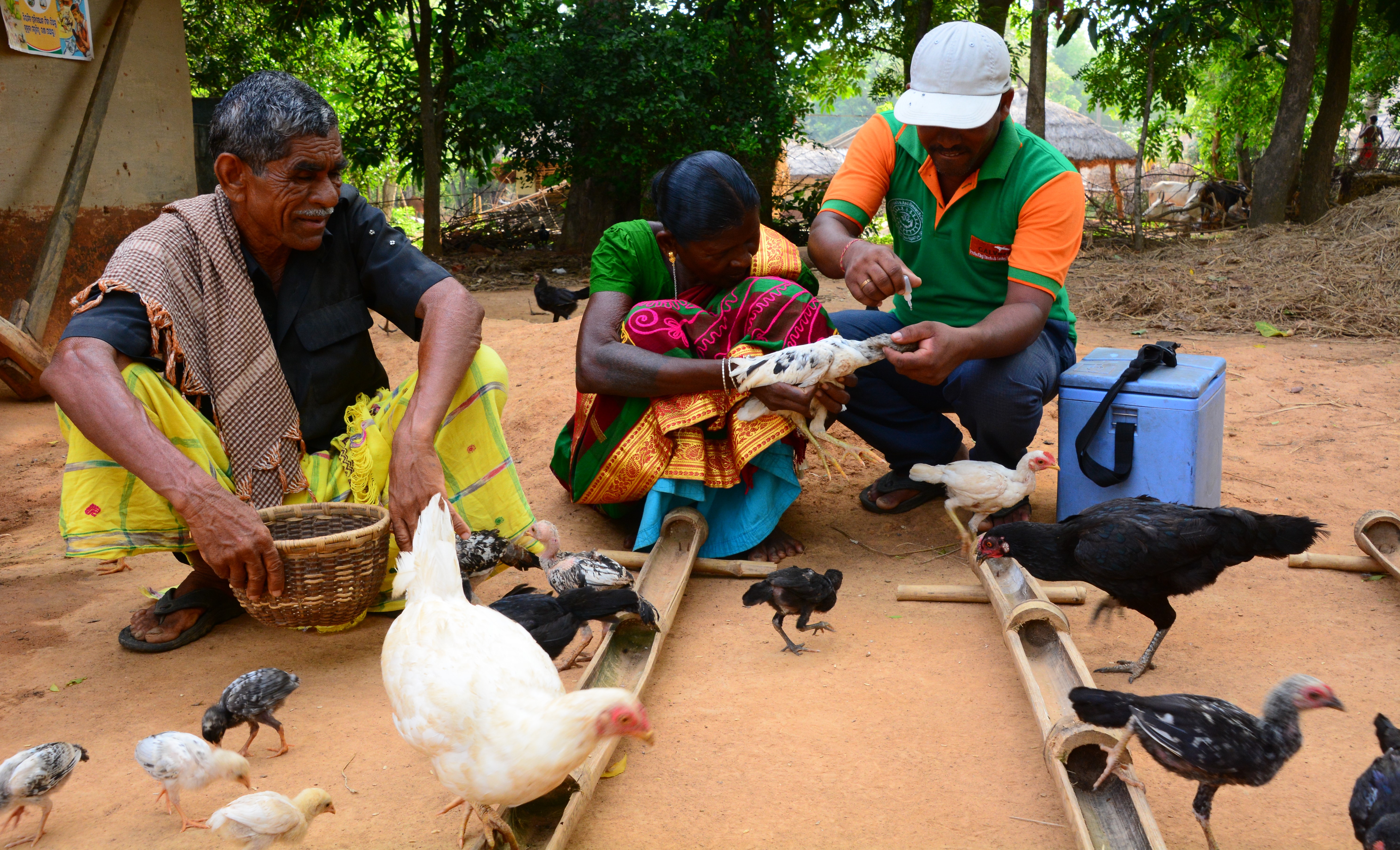 Livestock Vaccines Supporting the Most Vulnerable UKCDR